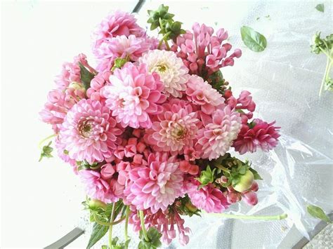 Hot pink dahlia bouquet- FLORAL SENSE | Dahlias wedding, Dahlia bouquet ...