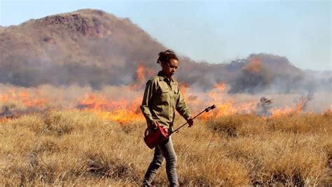 Outback firestick farming returns to APY lands in a blaze of glory ...