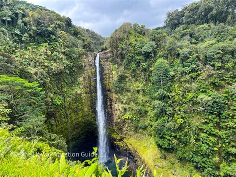 Big Island Waterfalls Adventure Guided Tour - The Hawaii Vacation Guide