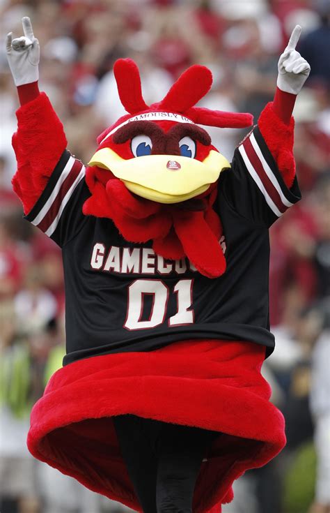 College Football Mascots: Queer Cheers for the Straight Guys? | News ...