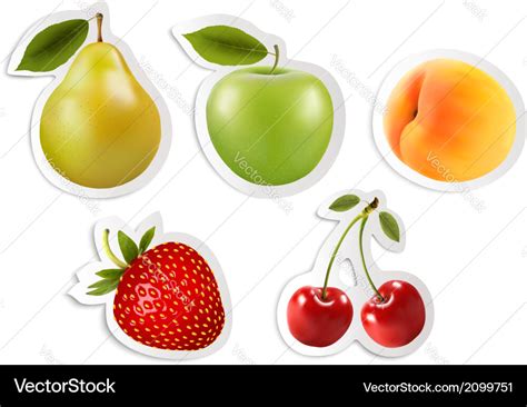 Five fruit stickers Royalty Free Vector Image - VectorStock