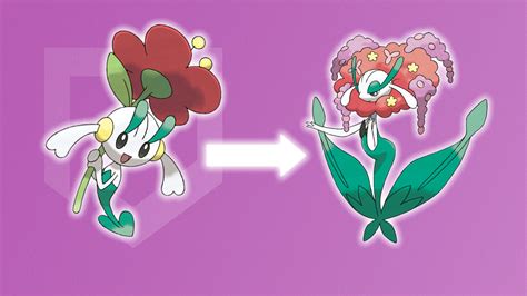 Floette evolution guide