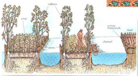 Chinampas Gardens | Midwest Permaculture