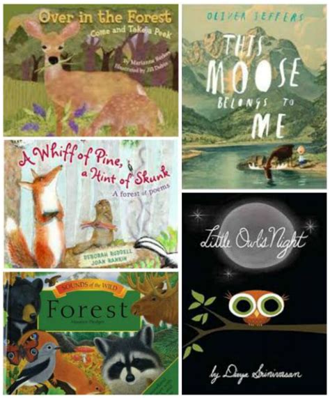 15 Children's Books about Forest Animals