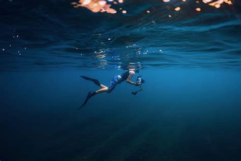 7 Tips to Help You Master Freediving Photography