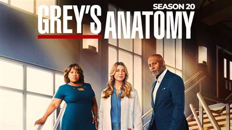 Grey's Anatomy Season 20 Release Date, Trailer, Cast & More