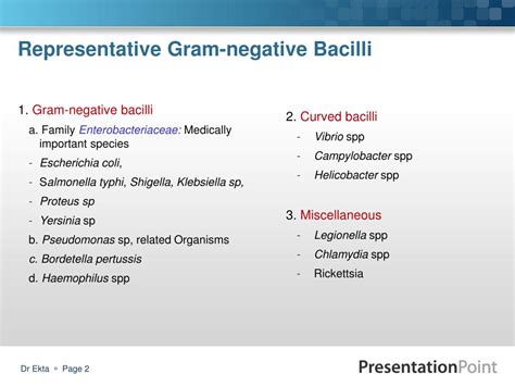 PPT - Medically Important Gram negative bacilli (Part 2) PowerPoint ...