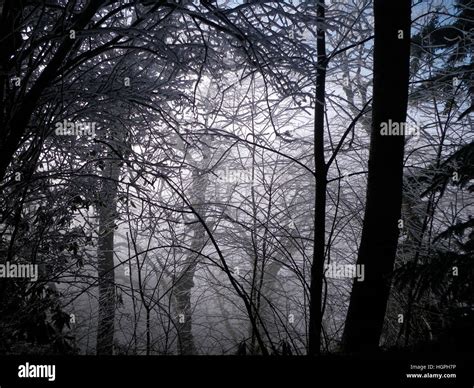 Chimney Tops Trail, Great Smoky Mountains National Park, Tennessee ...