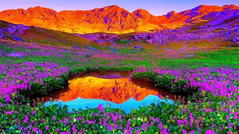 Cool Colorful Nature Wallpapers - Top Free Cool Colorful Nature ...