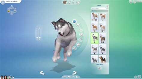 The Sims 4 Cats & Dogs- Create A Pet Official Gameplay Trailer 0968 ...