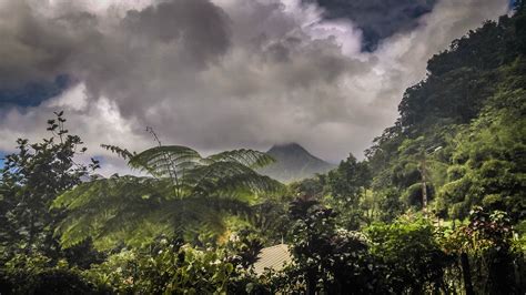 martinique volcano - Chronically Fly