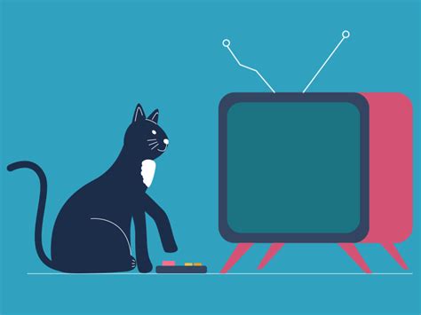 Cat & TV by Adel Husainova on Dribbble