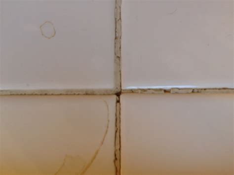 Bathroom Tile Grout Repair - Tiling, ceramics, marble - DIY Chatroom ...