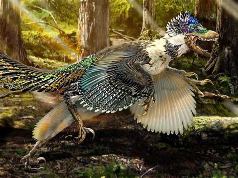 Velociraptor Feathers Discovery