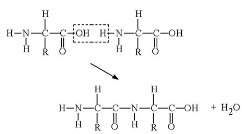 Glycine - MOTM 2010 - JMol version