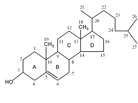 Structure of cholesterol. | Download Scientific Diagram