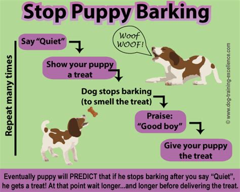 Lovely Dog: how to train your dog to stop barking for no reason