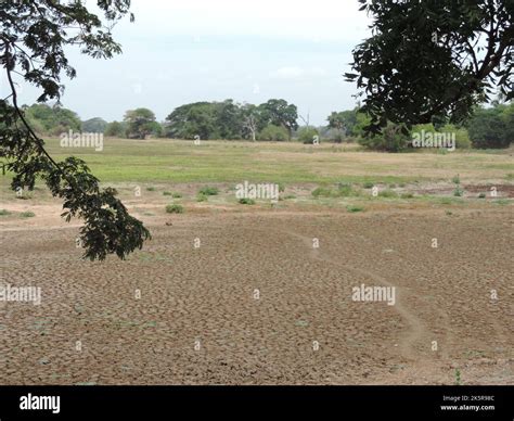 Landscape photography in Sri Lanka Stock Photo - Alamy