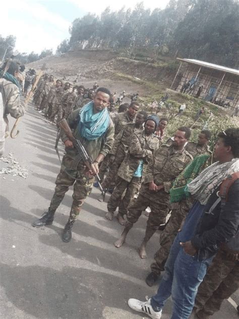 TRAC Incident Report: Heavy Clashes Between Tigray Defence Forces (TDF ...