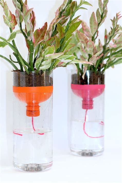 Diy self watering planters with recycled bottles – Artofit