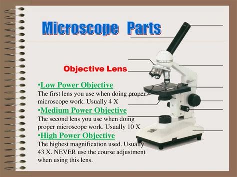 What Is High Power in Microscopes: An Overview of Magnification and ...