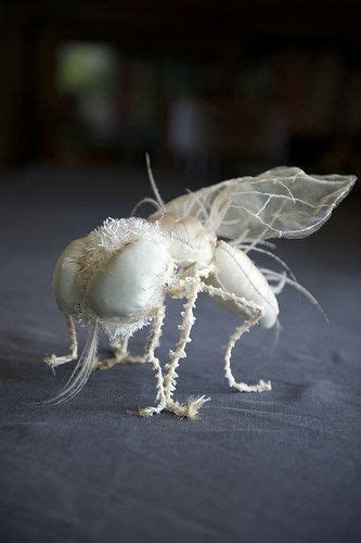 Albino fly. • View on Flickr | Bugs and insects, Albino, Creepy crawlies