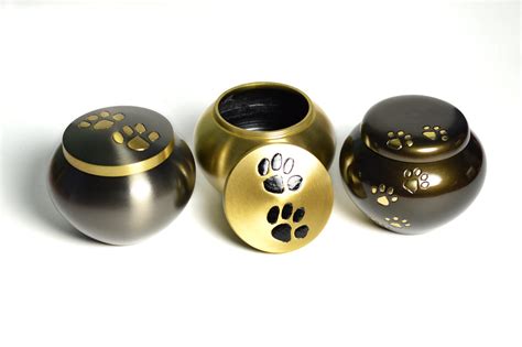 A Comprehensive Guide To Pet Cremation - BuzzSharer.com