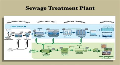 Types Of Sewage Treatment Plant