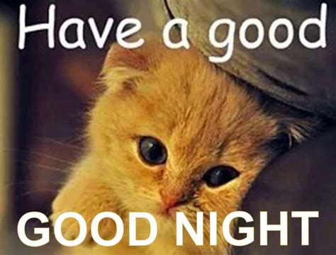 The Best Good Night Meme for A Nice Day - Mintal