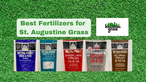 Best Fertilizer for St. Augustine Grass - Katy Houston Pearland