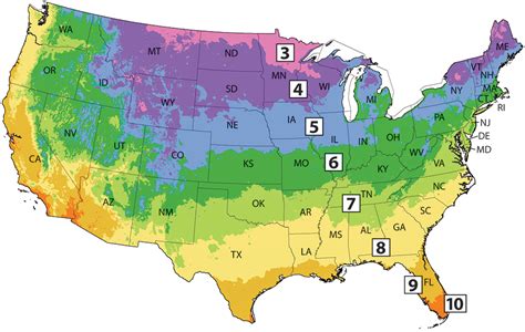 What zone is michigan for trees ? Understanding the Best Climate for ...