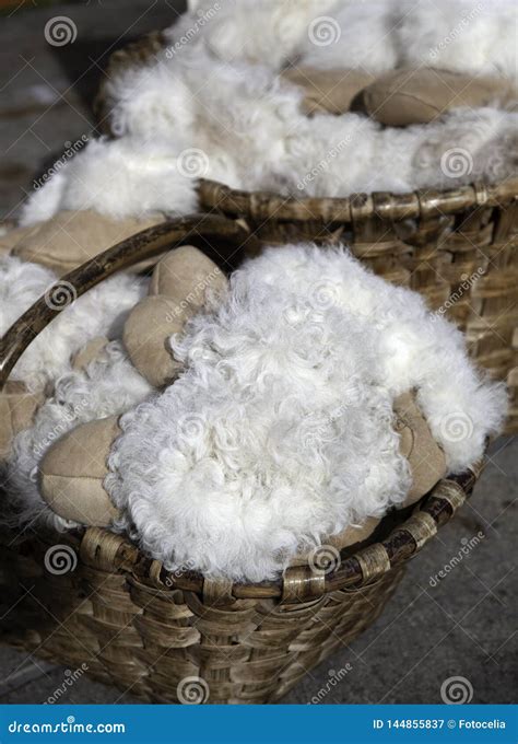 Sheep wool clothing stock image. Image of nature, deer - 144855837