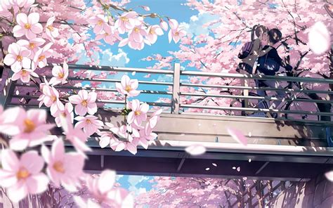 Anime Cherry Blossom 4K Wallpapers - Top Free Anime Cherry Blossom 4K ...