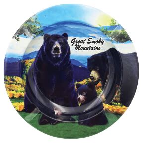 Miami Souvenirs: GREAT SMOKY MOUNTAIN BEAR ASHT