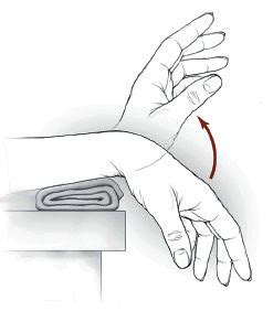 Wrist Flexion And Extension Exercises