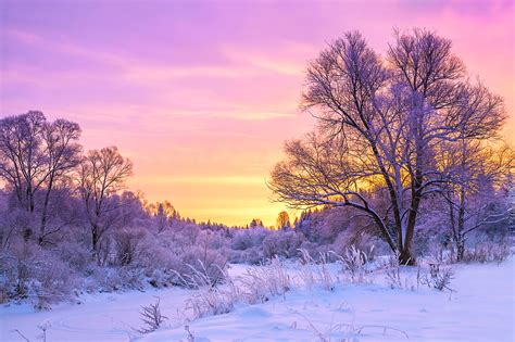 Saturday's winter solstice 2019 comes with a meteor shower