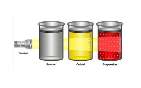 Mixture Types: Solution, Suspension, Colloids & Others : Plantlet