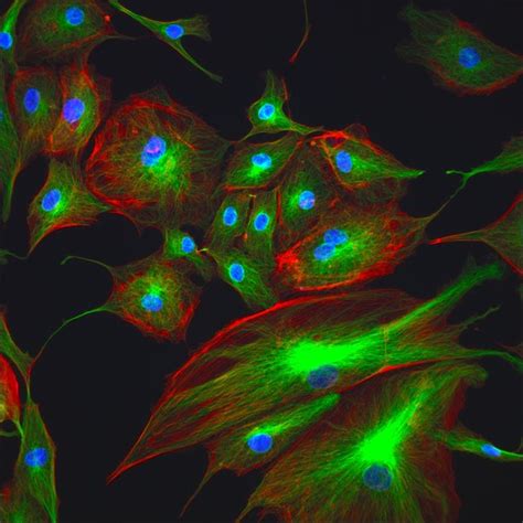 Invitrogen / Molecular Probes – Eugene, OR – Vibro-Acoustic Consultants