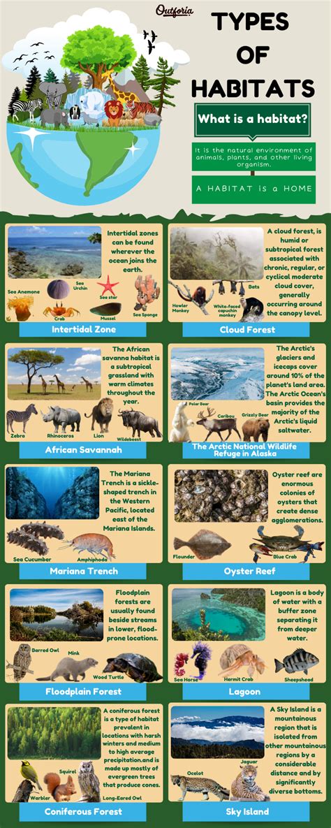 The 10 Different Types of Habitats | Grassland habitat, Habitats ...