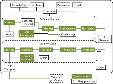 Crude palm oil production system overview. FFBefresh fruit bunches ...