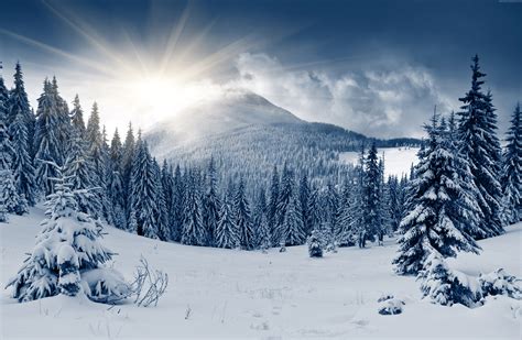 winter forest Wallpaper, Nature / Forest: winter forest, mountain, sun ...