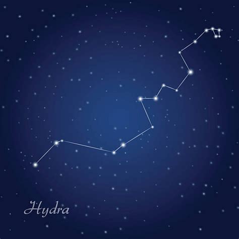 Hydra Constellation stock vectors - iStock