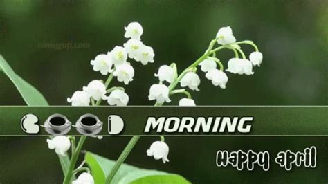 April Spring GIF - April Spring Morning - Discover & Share GIFs