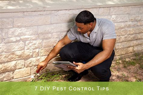 7 DIY Pest Control Tips by Frank Townsend on Dribbble