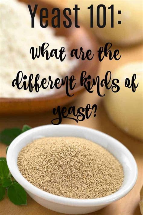 Different Kinds Of Yeast 101