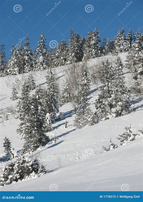 Winter Hillside stock image. Image of knoll, blanketing - 1778273