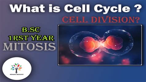 What is Cell Division? | What is Cell Cycle? | B.Sc. 1rst Year ...