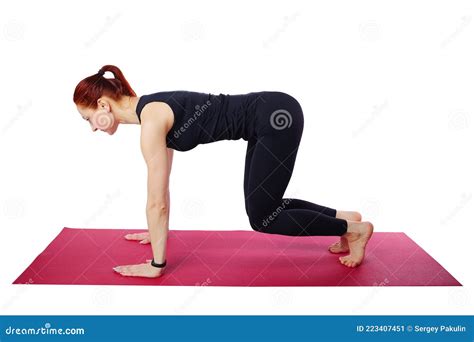 Pilates or Yoga. a Slender Athletic Girl on the Mat Performs a Stand on ...