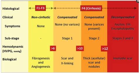 End-Stage Liver Disease in HIV Disease | Livers With Life