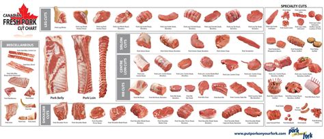 Printable Pork Cuts Chart